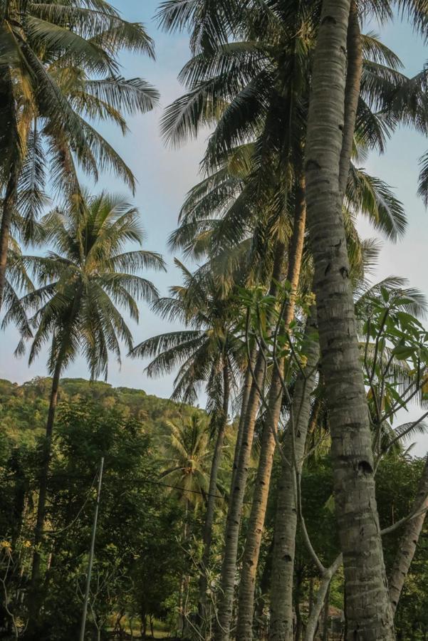 Lendang Eco Lodge Senggigi Exteriér fotografie