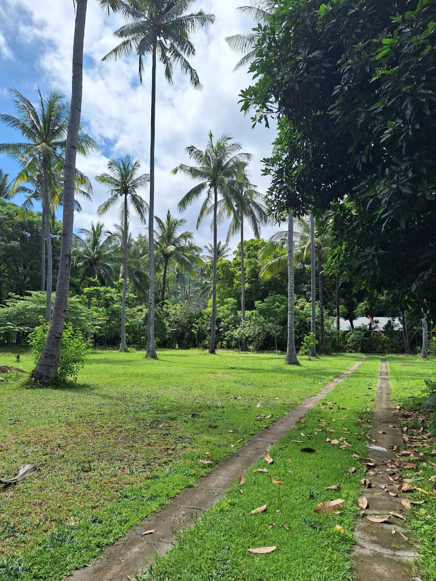 Lendang Eco Lodge Senggigi Exteriér fotografie