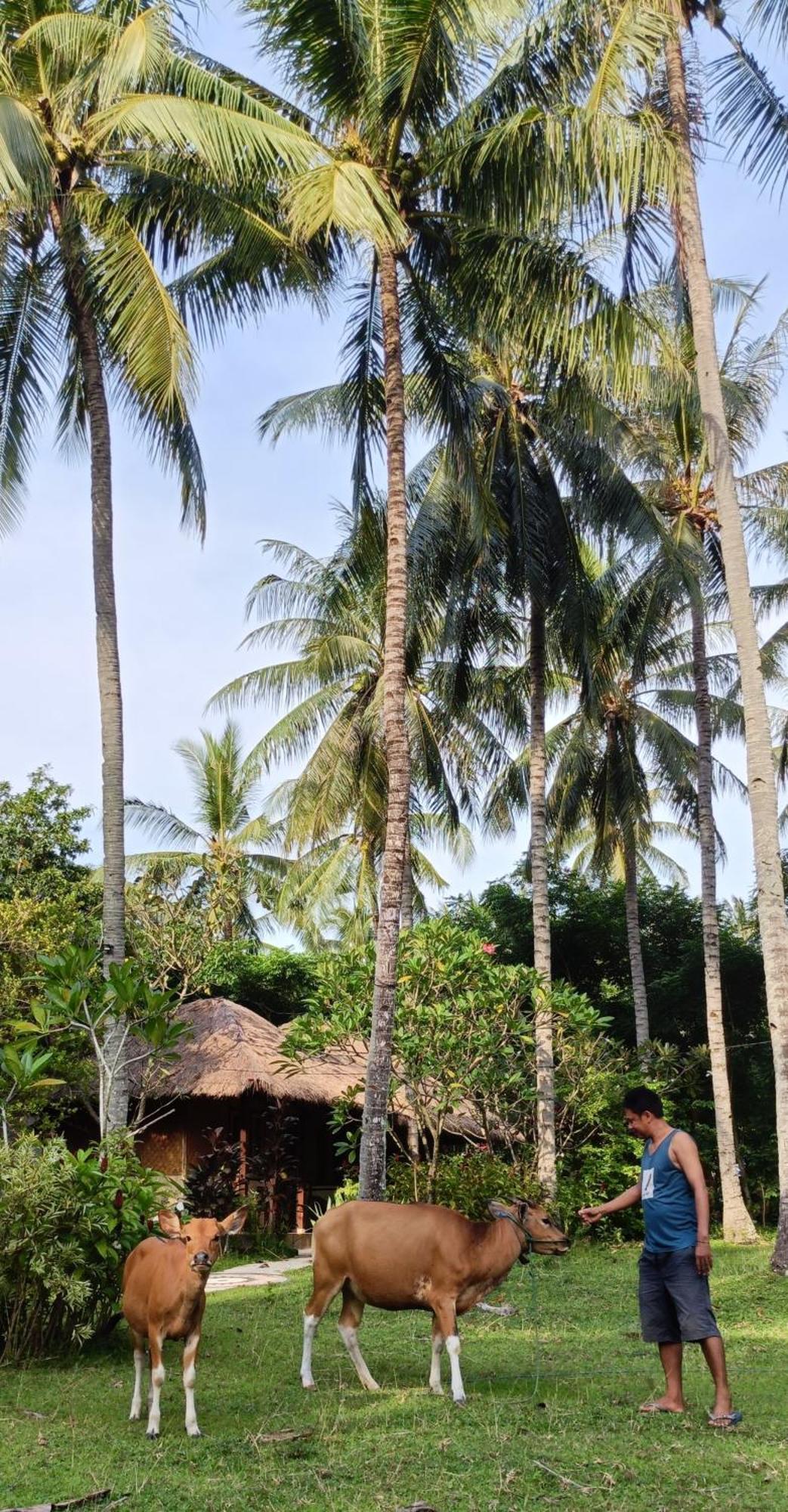 Lendang Eco Lodge Senggigi Exteriér fotografie