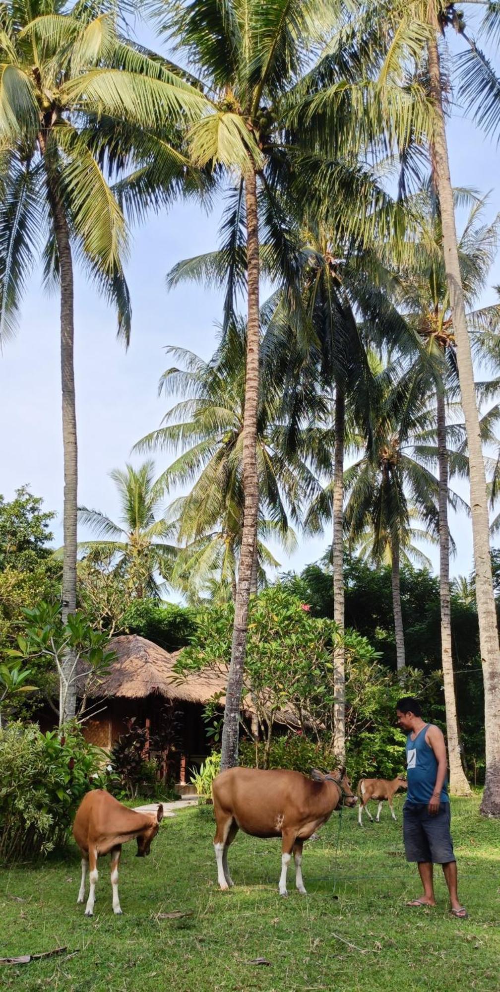 Lendang Eco Lodge Senggigi Exteriér fotografie